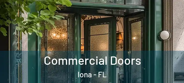 Commercial Doors Iona - FL