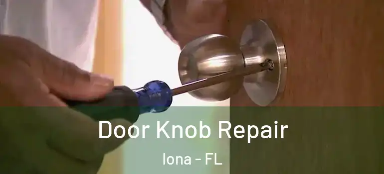 Door Knob Repair Iona - FL