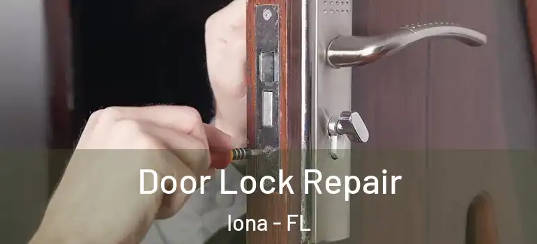Door Lock Repair Iona - FL