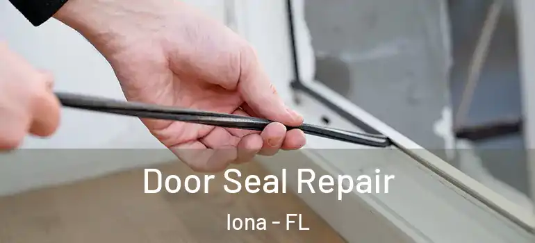  Door Seal Repair Iona - FL