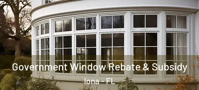  Government Window Rebate & Subsidy Iona - FL