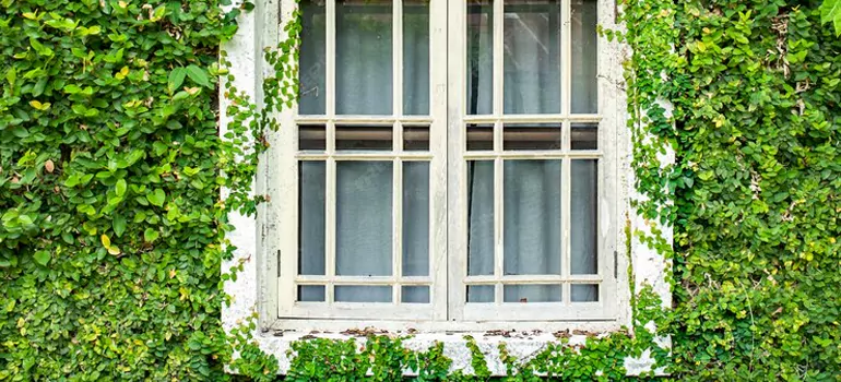 Garden Window Repair Near Me in Iona, FL