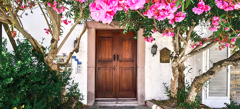 Traditional 4 Panel Internal Doors in Iona, FL