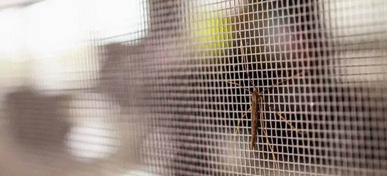 Repair Mosquito Mesh For Windows in Iona, FL