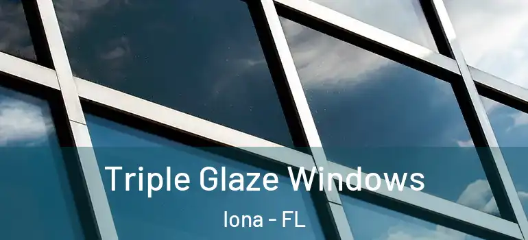  Triple Glaze Windows Iona - FL