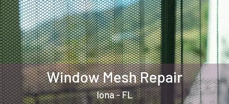  Window Mesh Repair Iona - FL