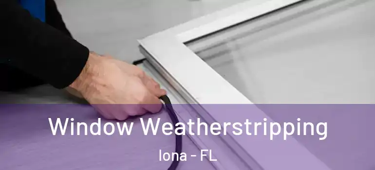 Window Weatherstripping Iona - FL